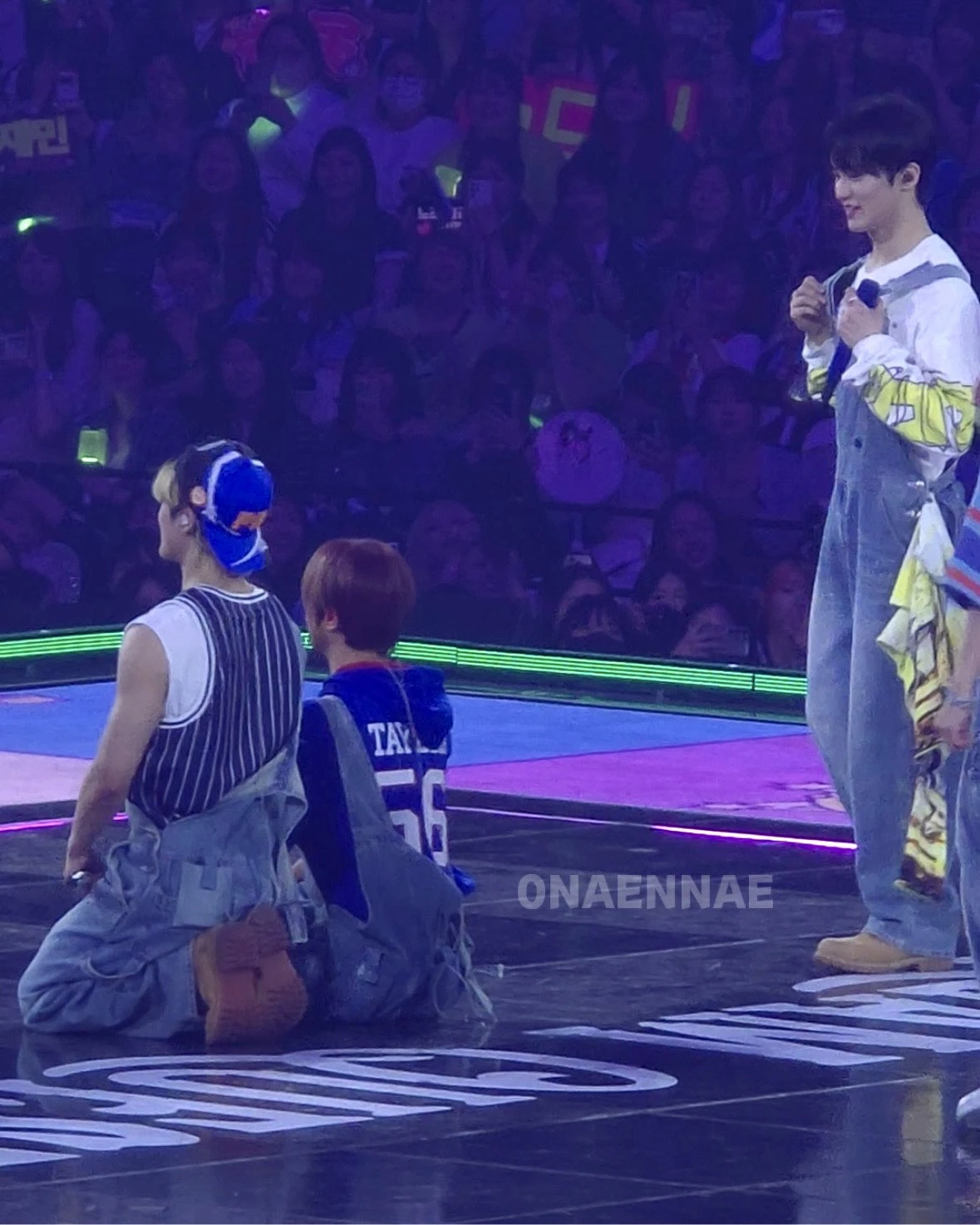 똥강아지들과 맠냥이